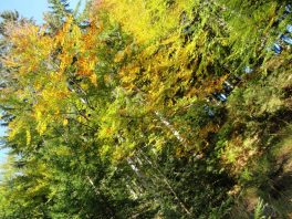 Karawanken Grenzland