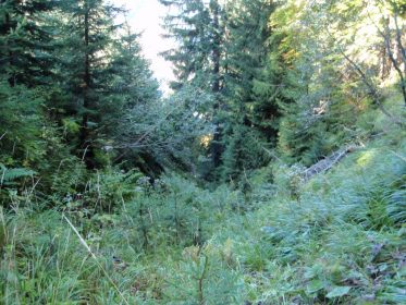 Karawanken Grenzland