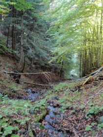 Karawanken Grenzland