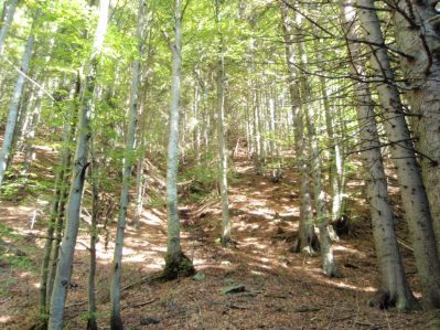 Karawanken Grenzland