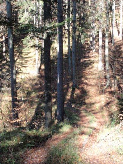 30_Dreilaendereck