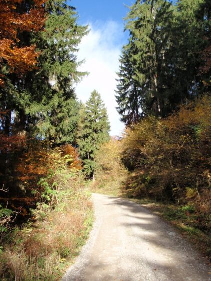 37_Dreilaendereck